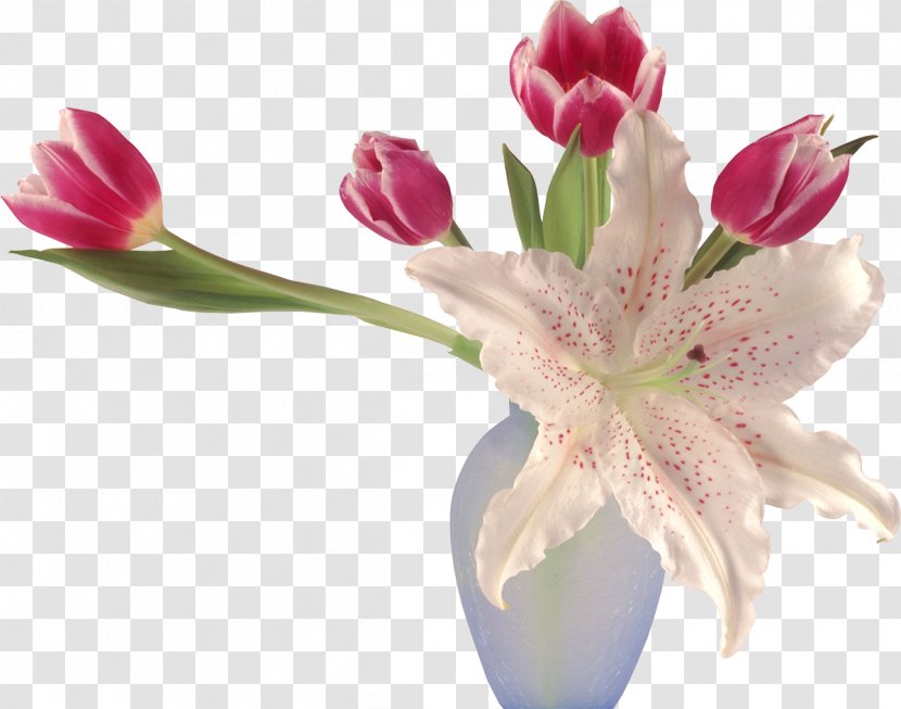 Flower Tulips In A Vase Desktop Wallpaper Lilium - Cut Flowers - Lily Transparent PNG