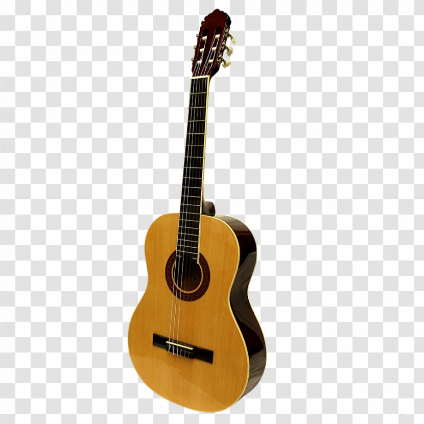 Classical Guitar Musical Instruments Eko Guitars Acoustic - Watercolor Transparent PNG