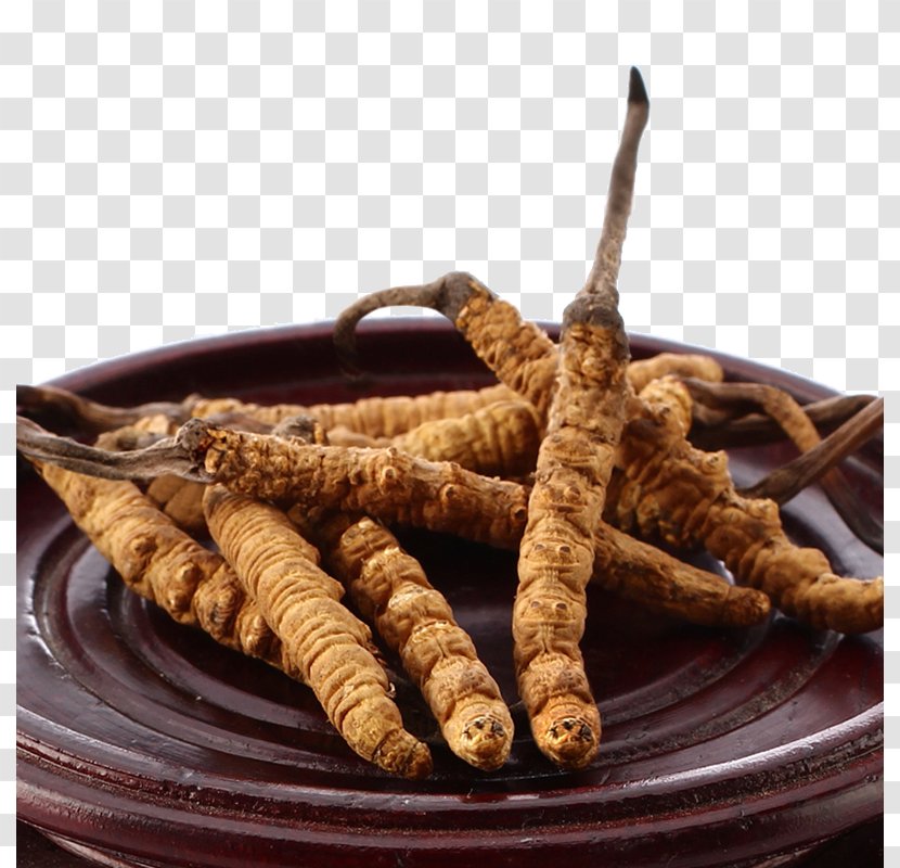 Nagqu Caterpillar Fungus Traditional Chinese Medicine Tibetan - Tibet's Cordyceps Herbs Transparent PNG