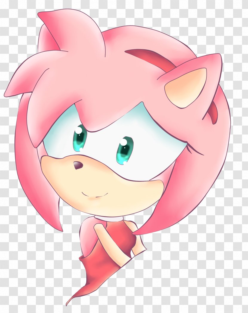 Amy Rose Sonic The Hedgehog Shadow Tails Princess Sally Acorn - Frame - 22nd Transparent PNG