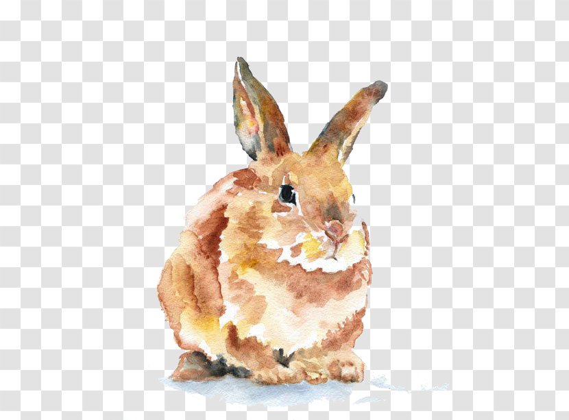 Hand-painted Rabbit - Snout - Color Transparent PNG