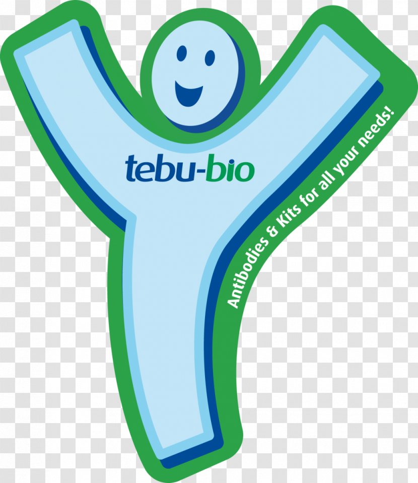 Antibody Immunoglobulin G Immune System Antigen Immunity - Sign Transparent PNG