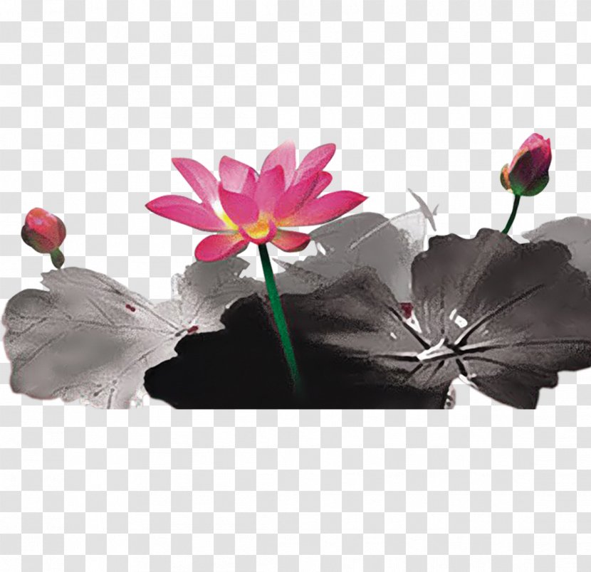 Ink Wash Painting Chinese Shan Shui - Petal - Lotus Picture Material Transparent PNG