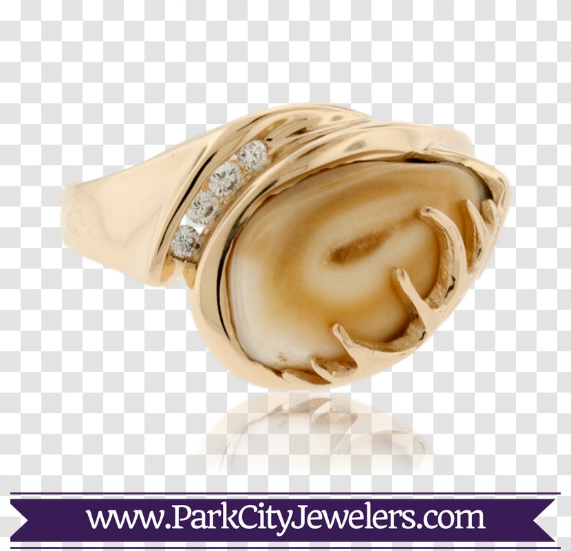 Ring Elk Jewellery Ivory Bracelet - Wedding Ceremony Supply - Steel Teeth Collection Transparent PNG