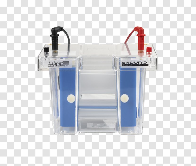 Gel Electrophoresis Electroblotting Capillary - Plastic Transparent PNG