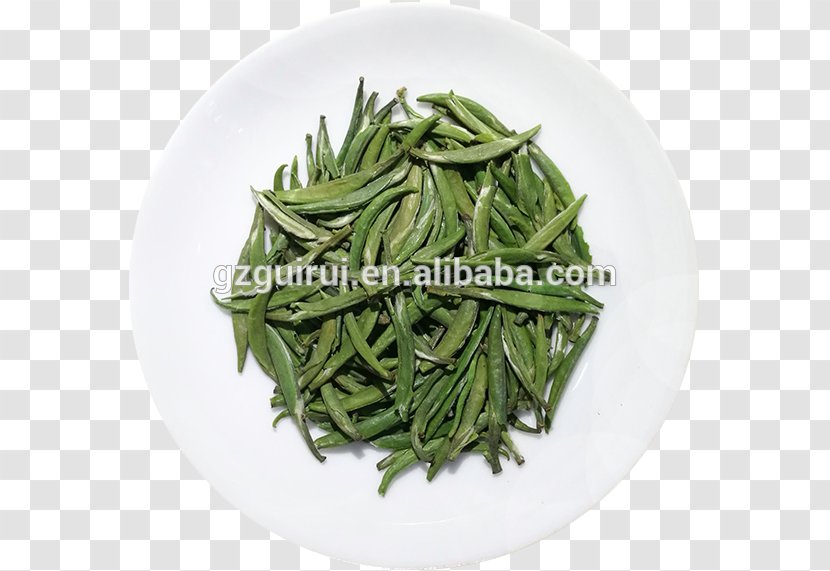 Hōjicha Green Tea Longjing Plant Transparent PNG