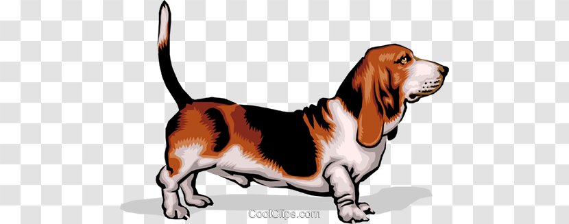 Dog Popliteal Lymph Nodes Lymphatic System - Puppy Transparent PNG