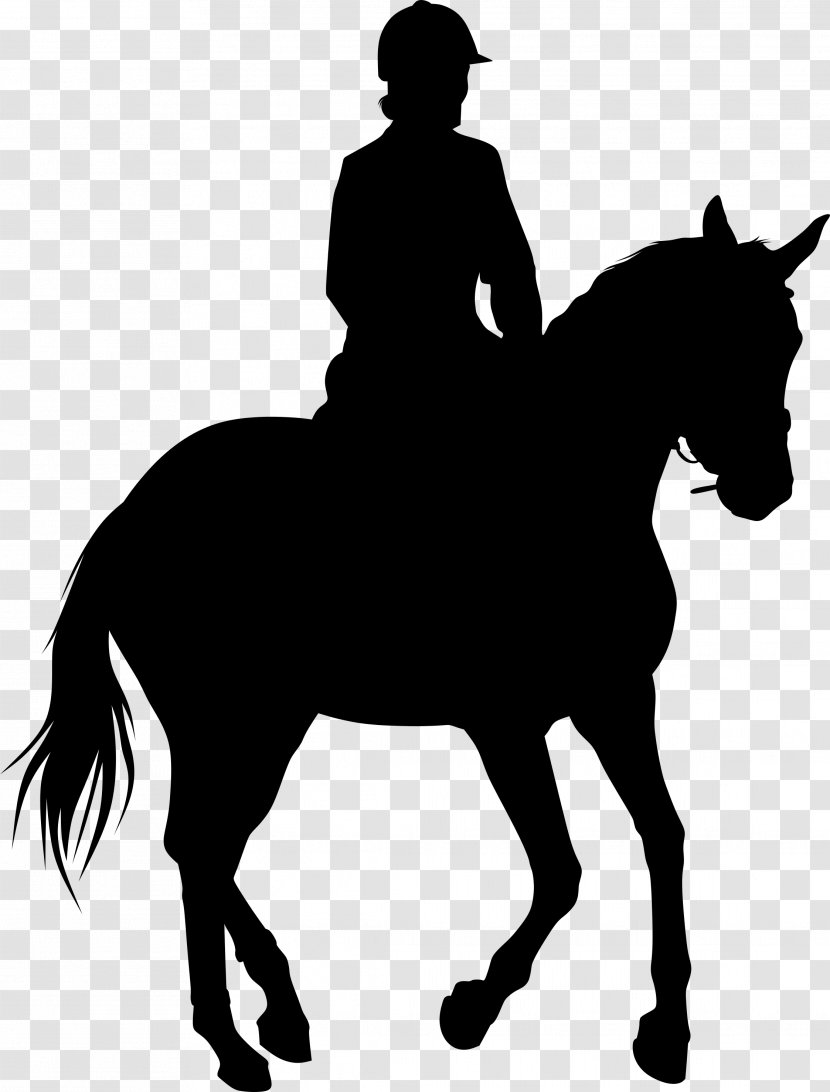 Equestrian Statue Silhouette Horse - English Riding - Racing Transparent PNG