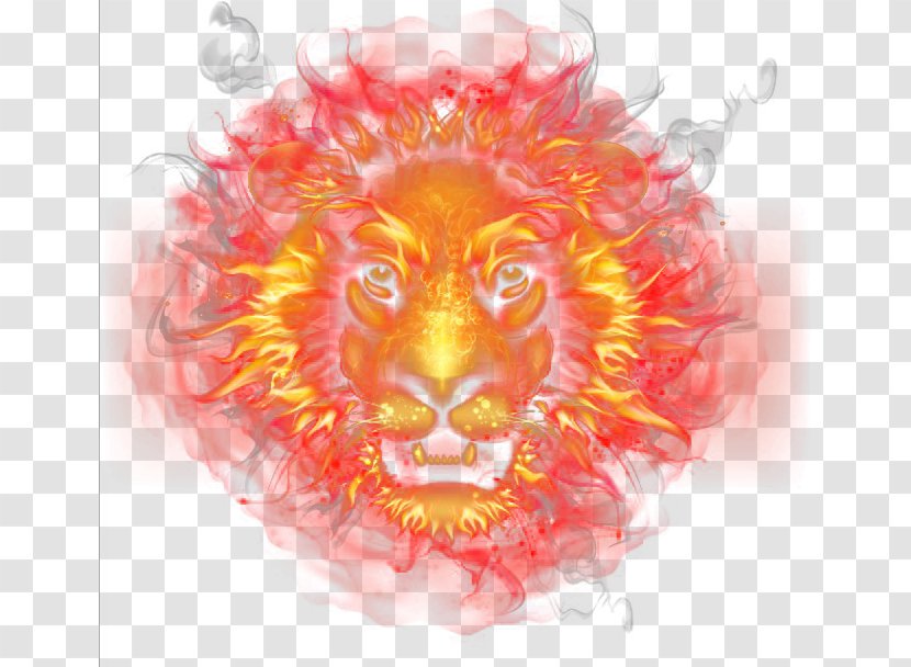 Flame Fire Euclidean Vector - Cartoon - Lionhead Transparent PNG