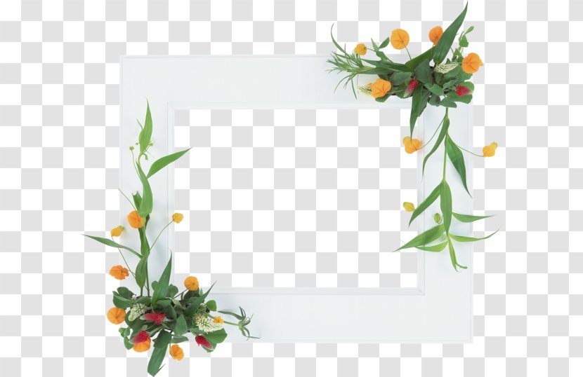 Picture Frames Floral Design - Flowering Plant Transparent PNG