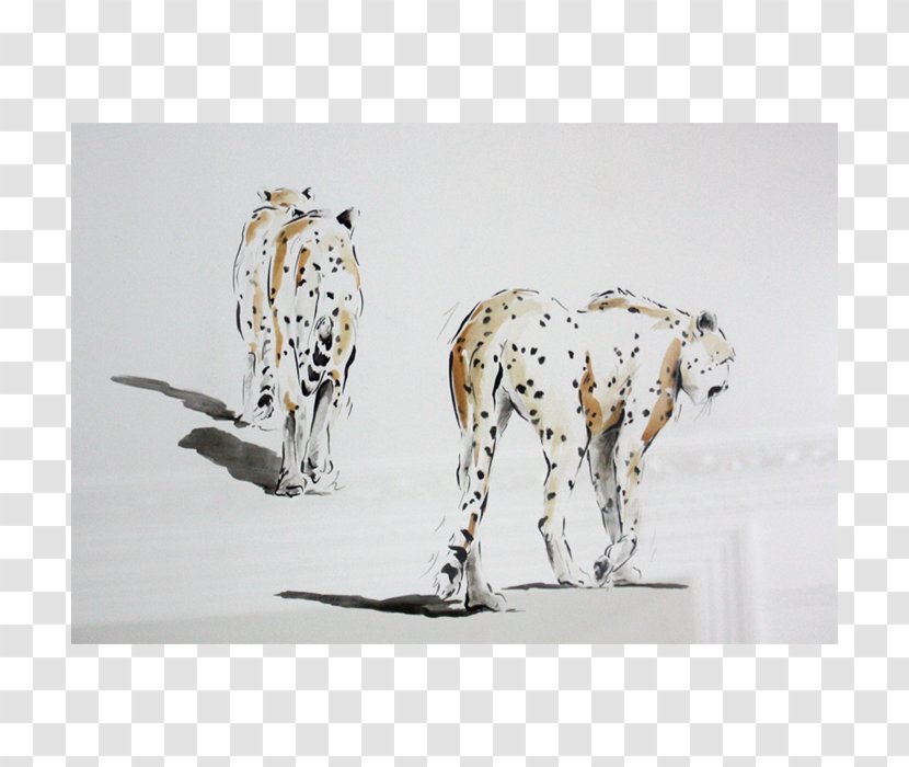 Dalmatian Dog Wildlife - Cheetah Run Transparent PNG