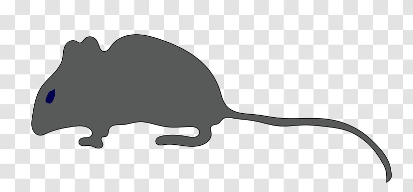 Rat Mouse Silhouette Clip Art - Carnivoran Transparent PNG