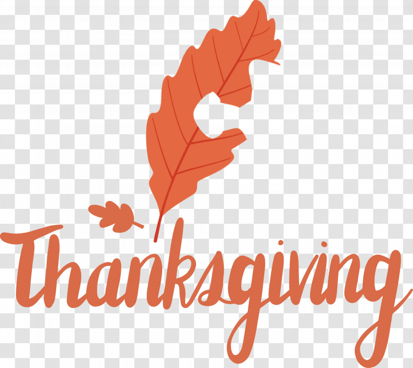 Thanksgiving Transparent PNG