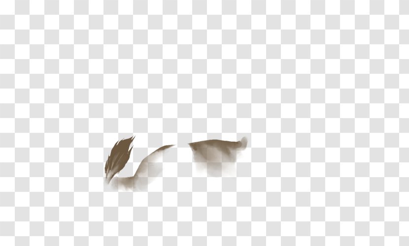 Feather Beak Transparent PNG