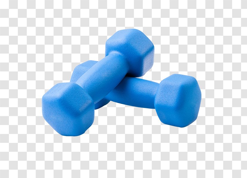 Dumbbell Stock Photography Fitness Centre Barbell - Royaltyfree Transparent PNG