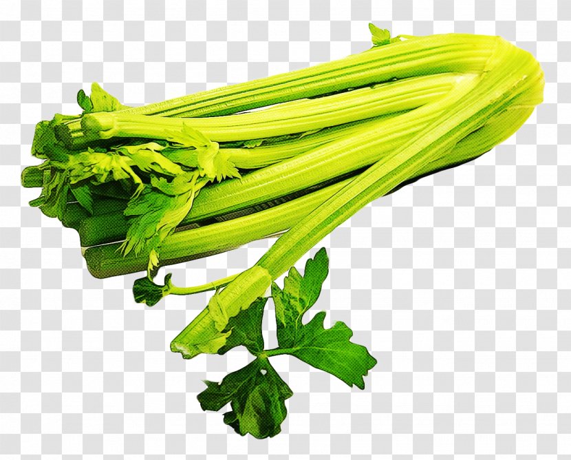 Vegetable Food Celery Plant Leaf - Herb Ingredient Transparent PNG