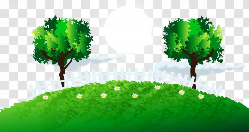 Green Tree Grass Lawn - Trees Transparent PNG