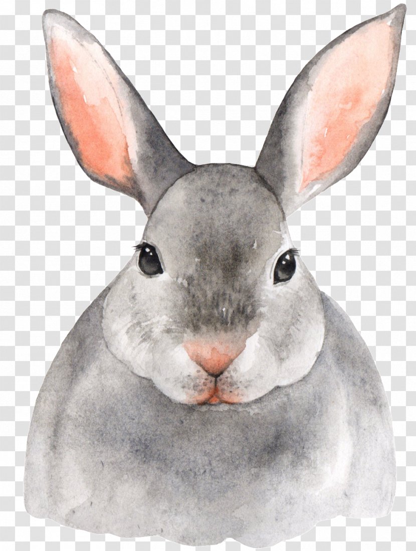Watercolor Animal - Painting - Snowshoe Hare Rat Transparent PNG