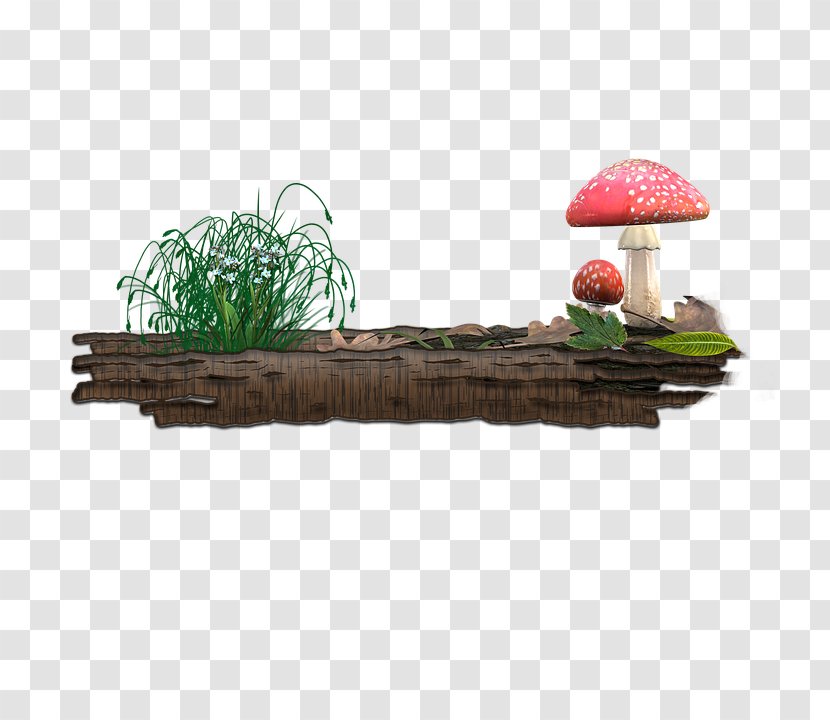 Mushroom - Furniture - Table Transparent PNG