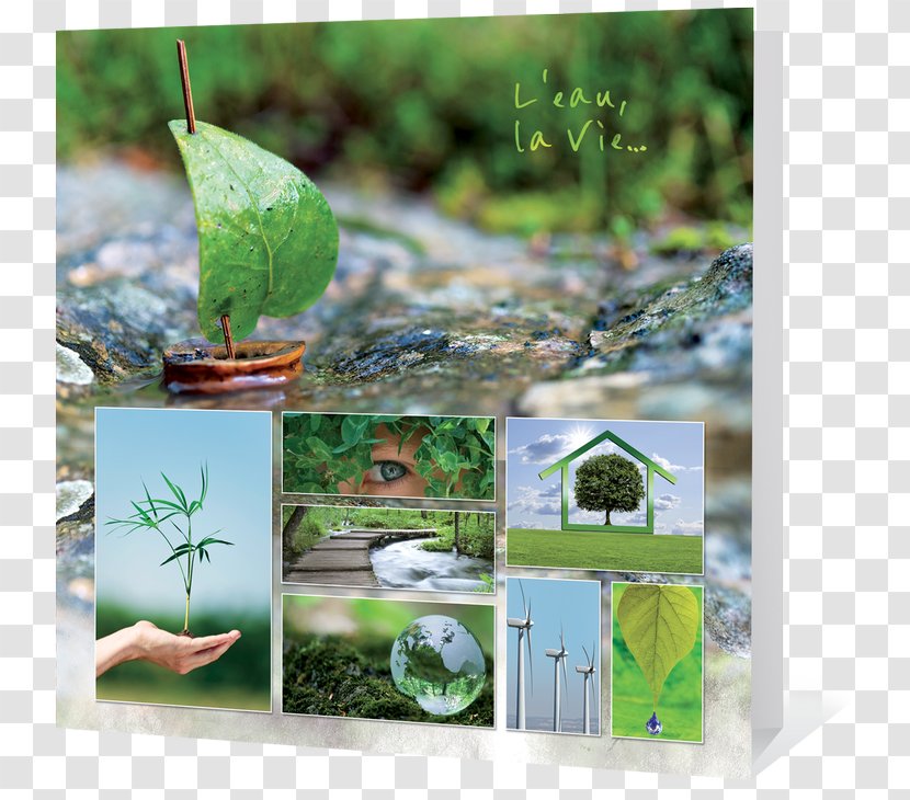 Ecology Greeting & Note Cards Nature Environmental Protection Natural Environment - Leaf - Double Version Transparent PNG