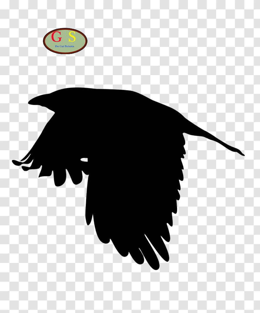Red-winged Blackbird The Electricity Of Every Living Thing: One Woman’s Walk With Asperger’s Crow Common - Bird Transparent PNG