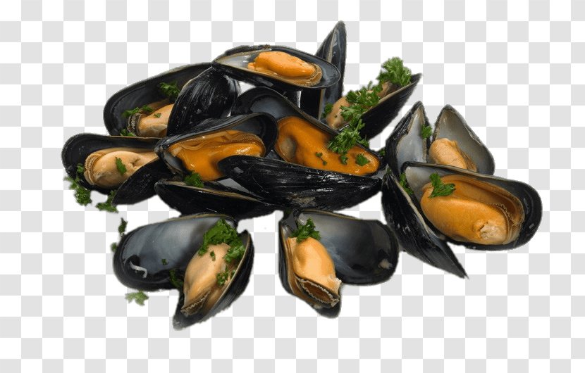 Mussel Oyster Cooking Food Clam - Cornish Fishmonger Transparent PNG