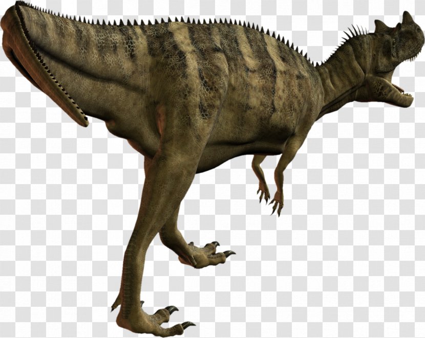 Tyrannosaurus Velociraptor Reptile Dinosaur Fauna Transparent PNG