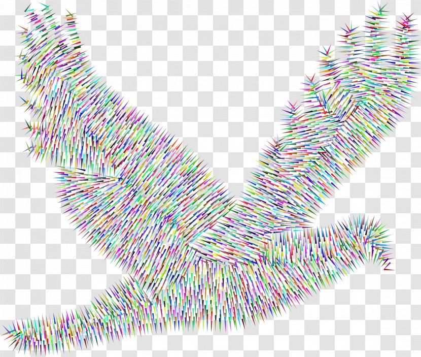 Columbidae Bird Clip Art - Point - Peace Transparent PNG