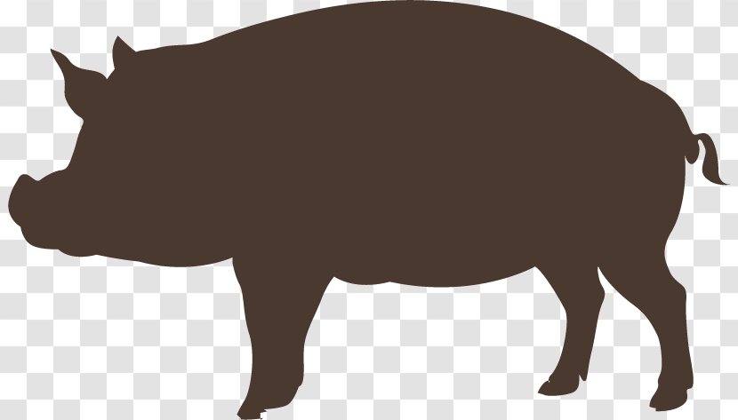 Domestic Pig Graphic Design - Hand-painted Wild Boar Transparent PNG