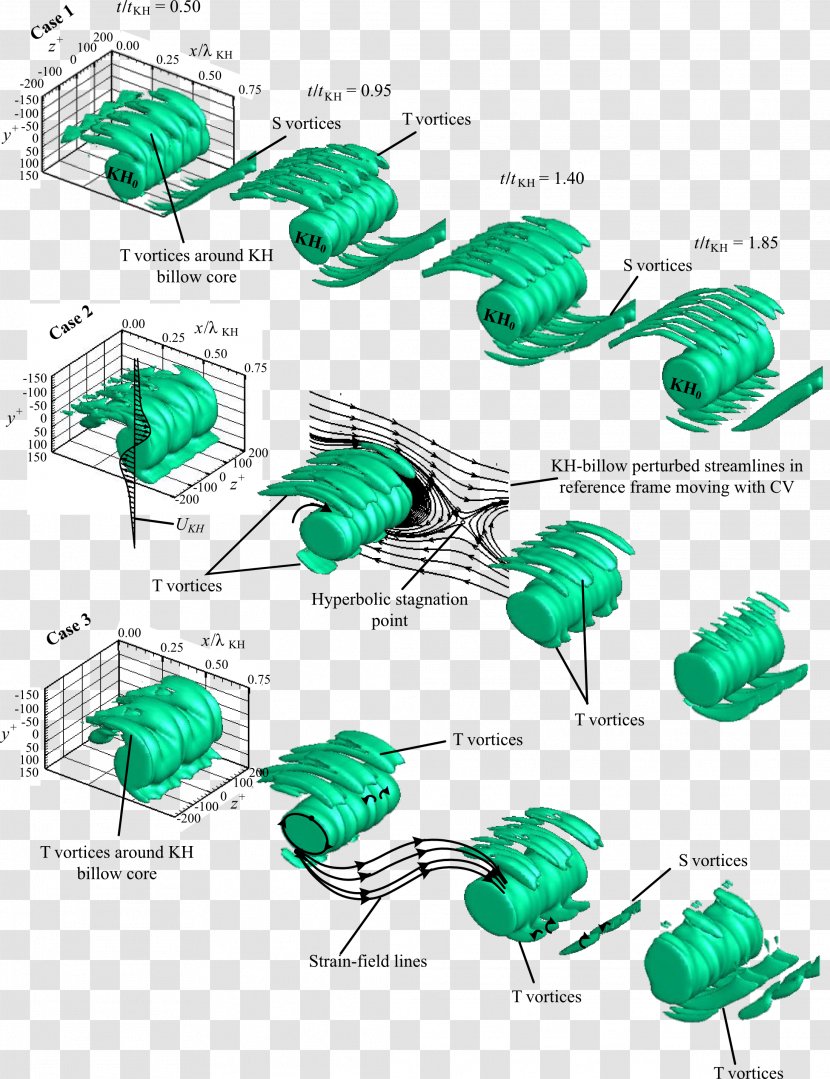 Point Leaf - Diagram - Grass Transparent PNG