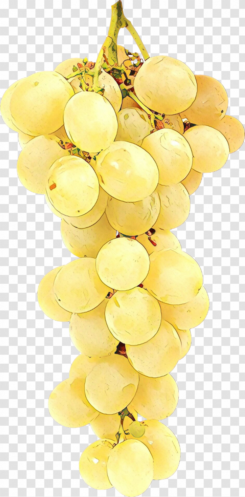 Grape Seedless Fruit Grapevine Family Yellow Sultana Transparent PNG