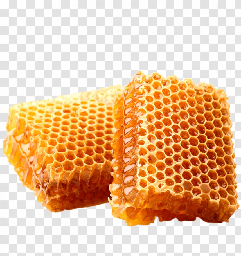 Honeycomb Stock Photography Beekeeping - Cuisine - Beehive Transparent PNG