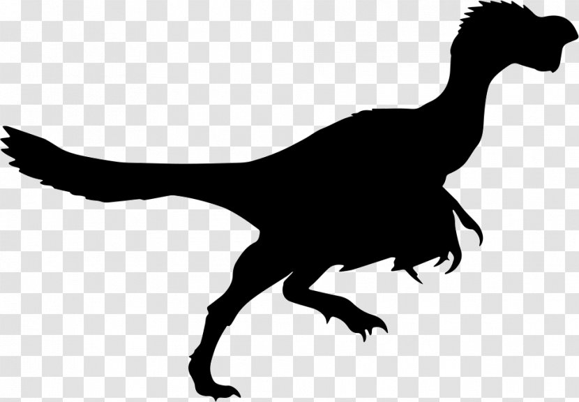 Citipati Tyrannosaurus Daspletosaurus Silhouette Dinosaur - Troodon Transparent PNG