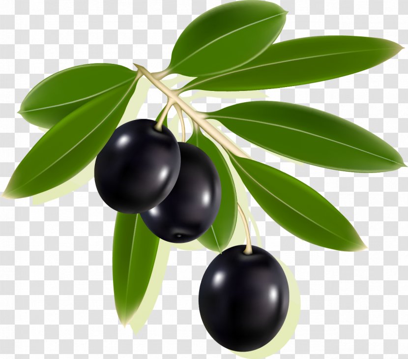 Olive Label Clip Art - Bilberry - Olives Transparent PNG