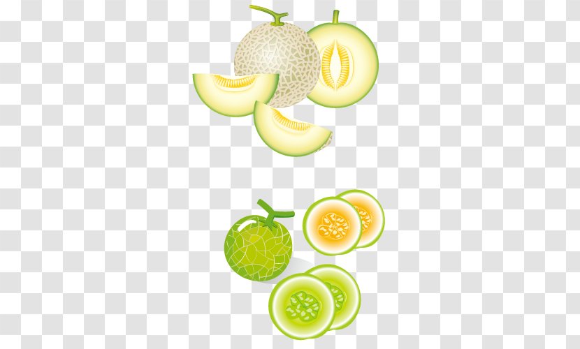Hami Melon Cantaloupe Honeydew Kiwifruit - Creative Green Fruit Transparent PNG