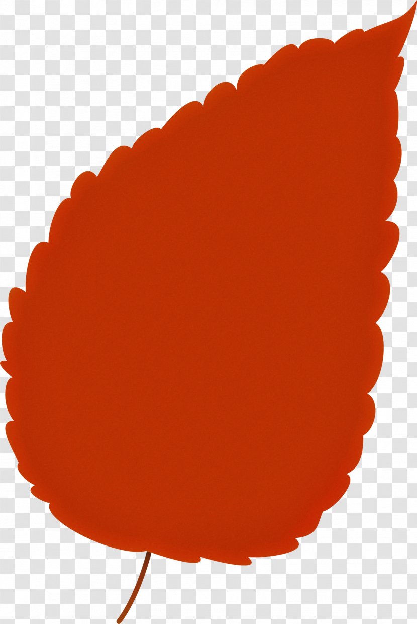 Orange - Red Transparent PNG