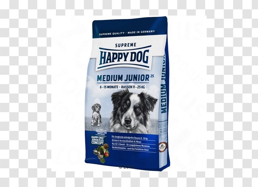 Puppy Dog Food Hovawart Breed - Conformation Show Transparent PNG