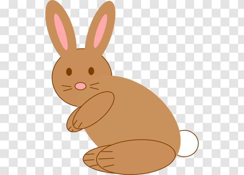 Domestic Rabbit Hare Easter Bunny Pet - Vertebrate Transparent PNG