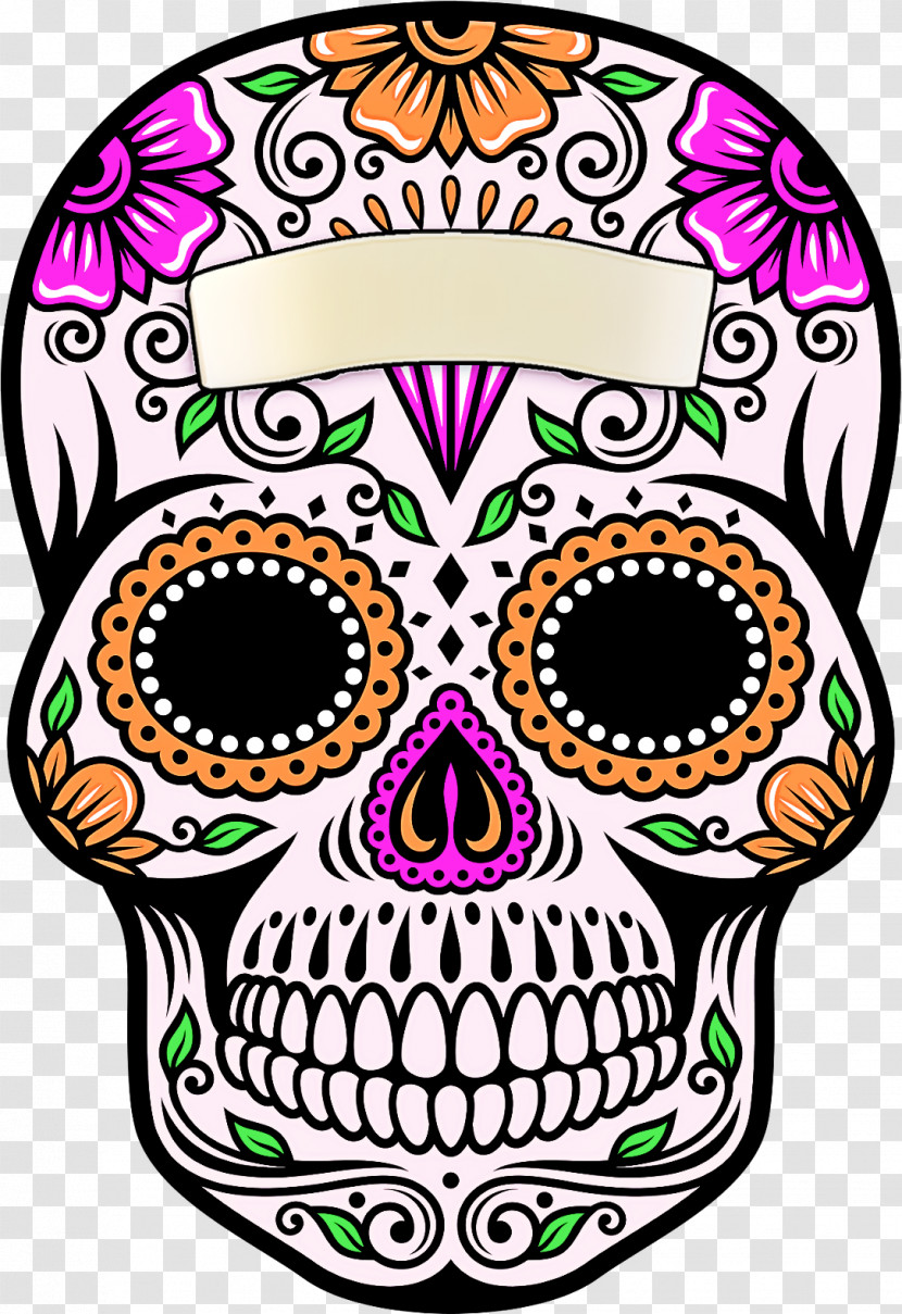 Bone Head Skull Transparent PNG