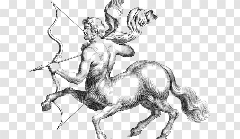 Sagittarius Centaur Astrology Zodiac Chiron - Unicorn Transparent PNG