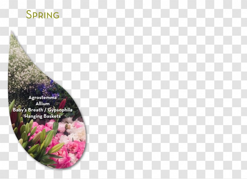 Boulder Denver The Fresh Herb Co. Plant Cut Flowers - Shoe - Flower Red Safflower Framework Transparent PNG