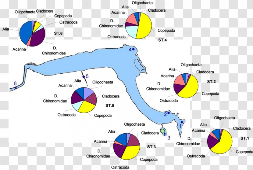 Line Point Diagram - Protect Water Resources Transparent PNG