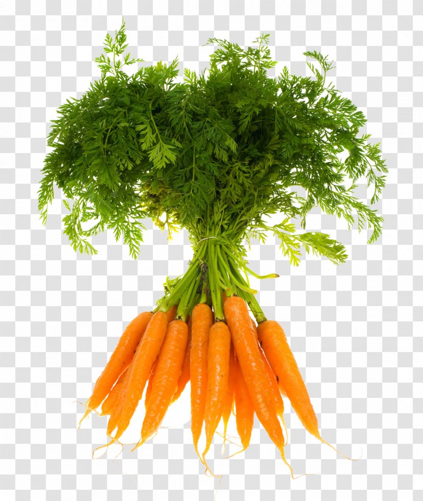 Carrot Indian Cuisine Gajar Ka Halwa Vegetable Fruit - Mirepoix Transparent PNG