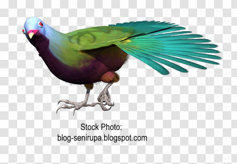 Macaw Goose Beak Bird Gulls Transparent PNG