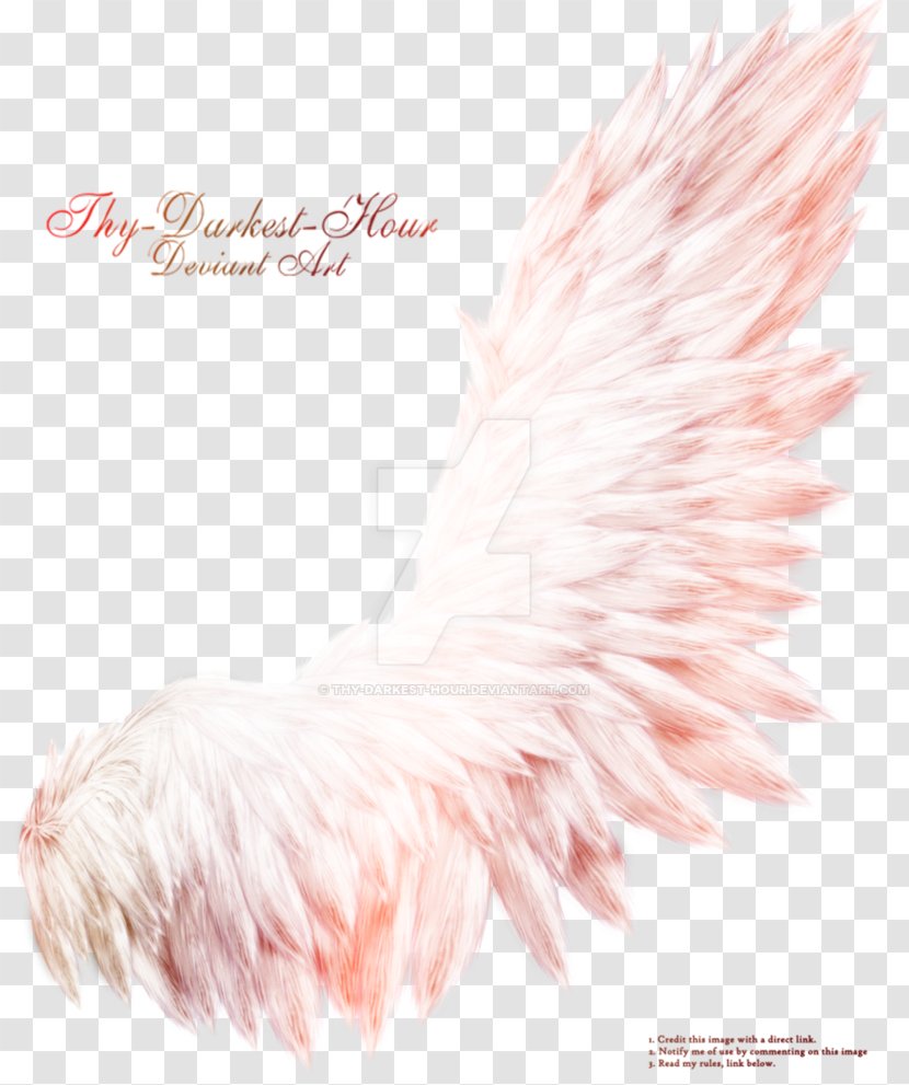 Feather Bird DeviantArt Wing - Fur Transparent PNG