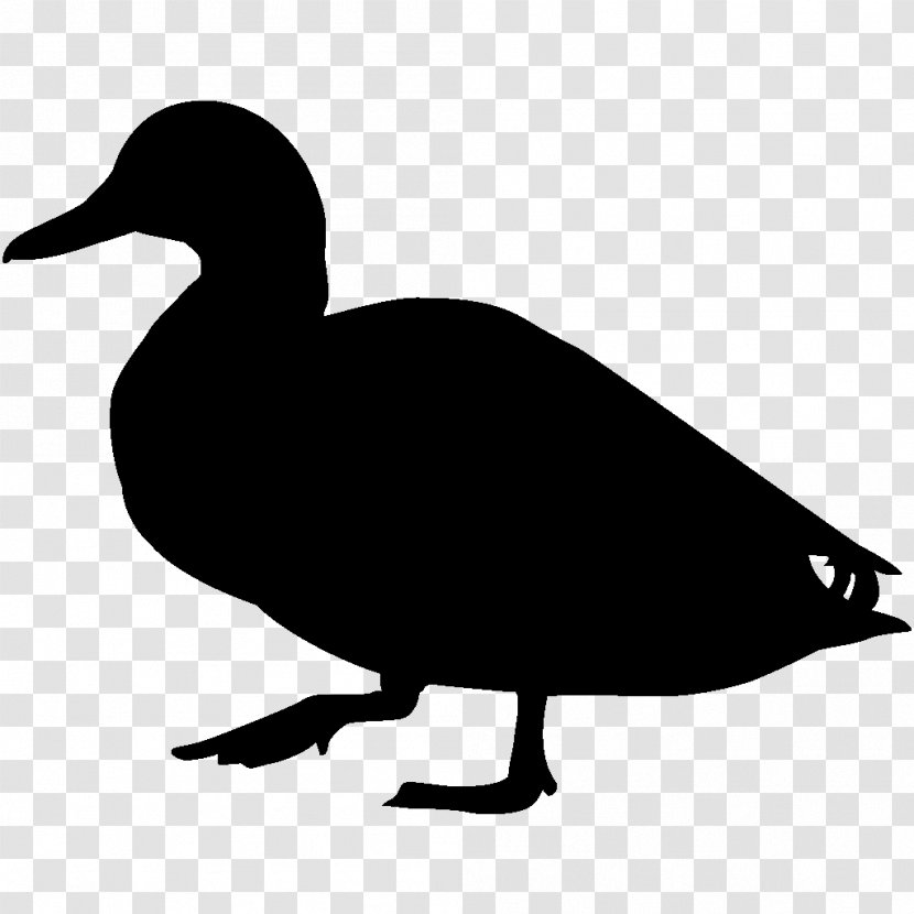Duck Bird Mallard Cornell Lab Of Ornithology Clip Art - Goose Transparent PNG