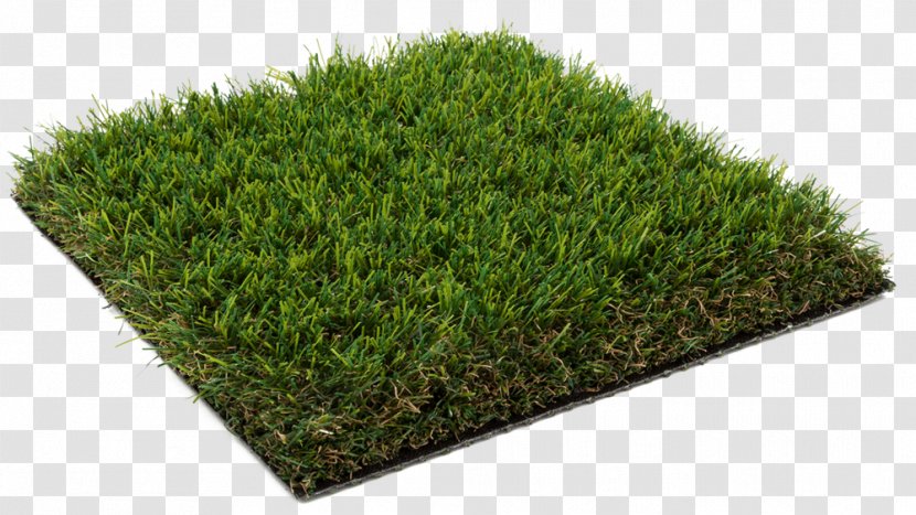 Artificial Turf Lawn Garden Grass Carpet - Laminate Flooring Transparent PNG