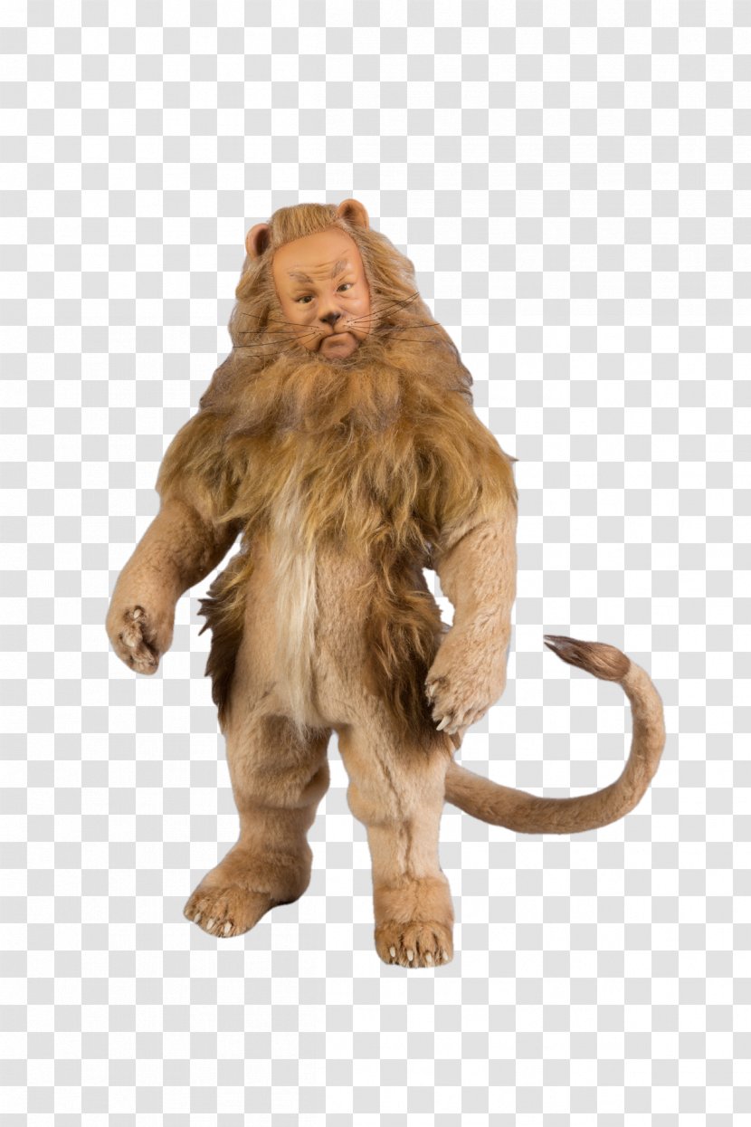 The Cowardly Lion Macaque Wikimedia Commons - Fur Transparent PNG