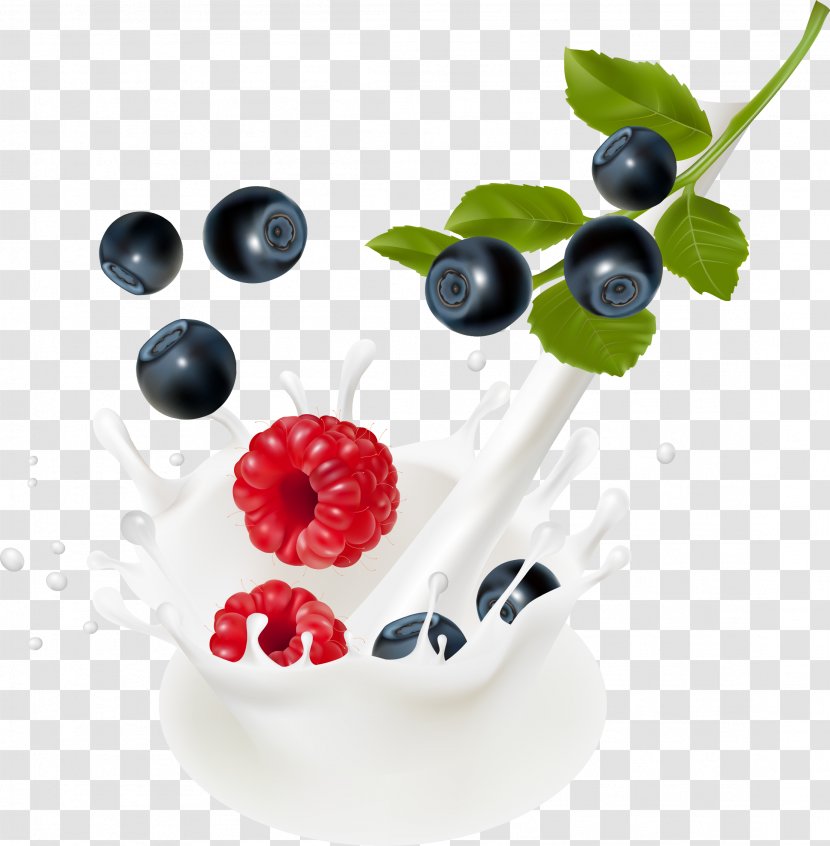 Milk Blueberry Bilberry - Superfood - Yogurt Transparent PNG