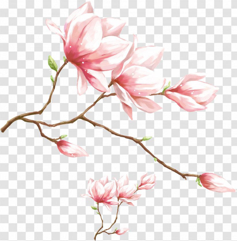1080p High-definition Video Display Resolution Wallpaper - Magnolia - Watercolor Pink Flower Transparent PNG